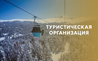 ТУРИСТИЧЕСКАЯ ОРГАНИЗАЦИЯ