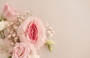 Labiaplasty: Procedure, Recovery and Benefits Guide 2026