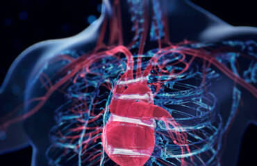 Heart Disease: Signs You Shouldn’t Ignore